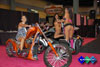 eXXXotica 2009