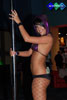 eXXXotica 2009